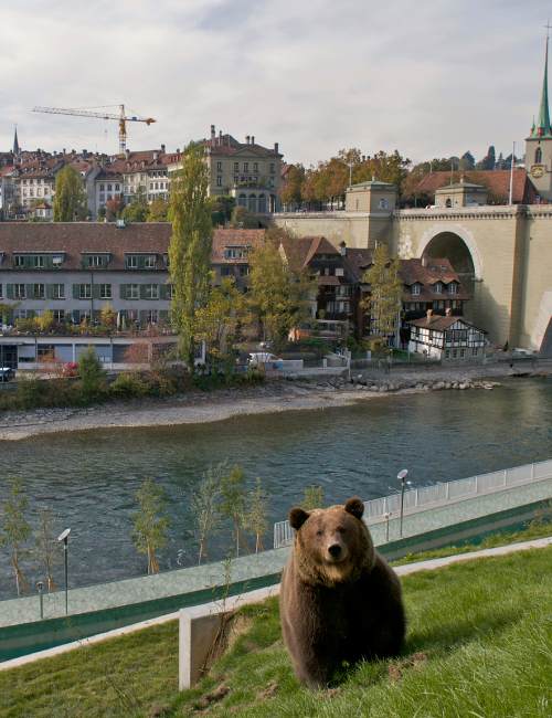 Bären Park