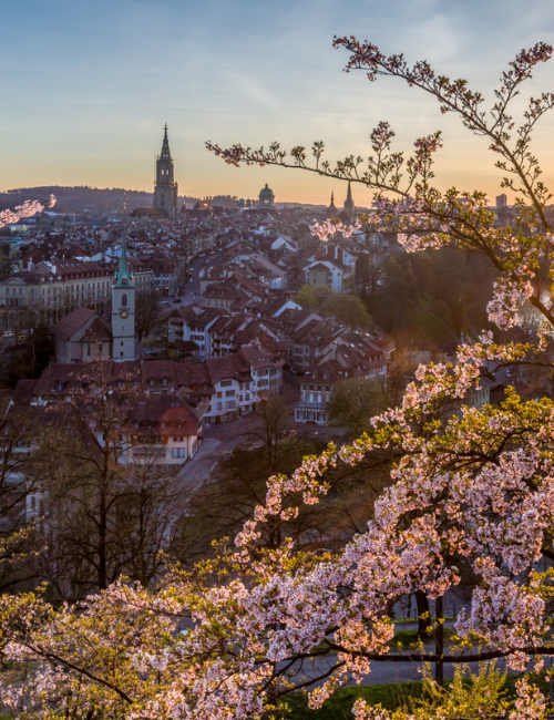 Rosengarten Bern